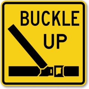 Helps keep your loved ones safely buckled up!