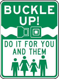 autism seat belt guards