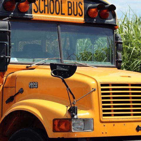 The Ultimate Solution for School Buses - BuckleBoss.com